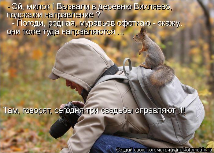 Котоматрица: - Эй, милок ! Вызвали в деревню Вихляево, подскажи направление ? - Погоди, родная, муравьев сфоткаю - скажу... они тоже туда направляются ... Там, 