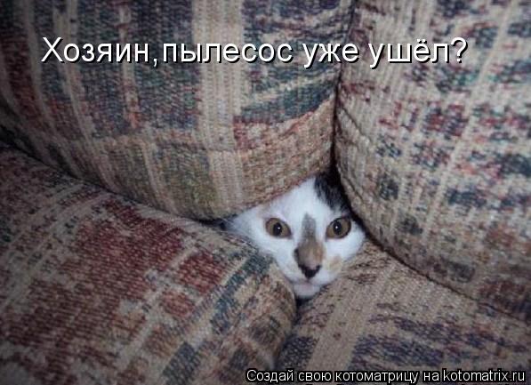 Хозяин,пылесос уже ушёл?... Котоматрица: Хозяин,пылесос уже ушёл?