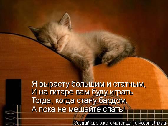 Я вырасту большим и саиным, Я вырасту большим и статным, И на гитаре вам буду играть Тогда, когда ста... Котоматрица: Я вырасту большим и саиным, Я вырасту большим и статным, И на гитаре вам буду играть Тогда, когда стану бардом. А пока не мешайте спать!