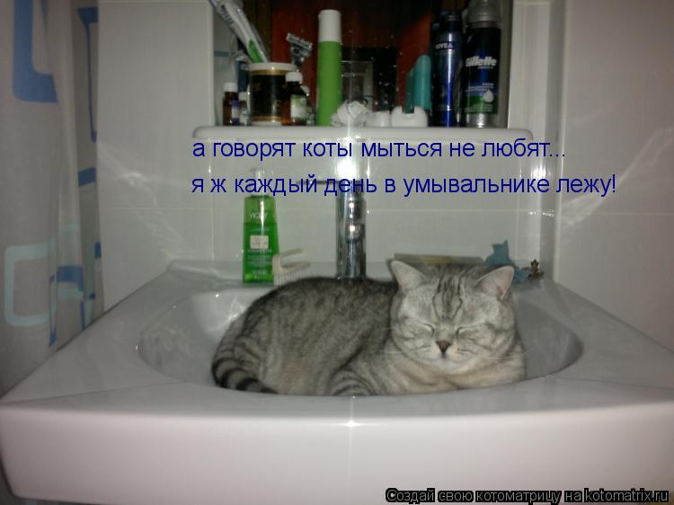 Котоматрица: а говорят коты мыться не любят... я ж каждый день в умывальнике лежу!