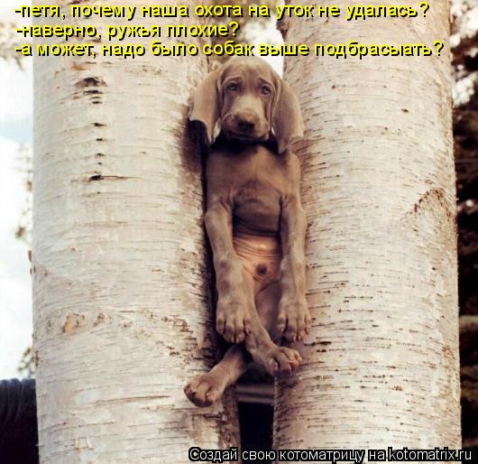 -петя, почему наша охота на уток не удалась? -наверно, ружья плохие? -а может, надо было собак выше п... Котоматрица: -петя, почему наша охота на уток не удалась? -наверно, ружья плохие? -а может, надо было собак выше подбрасыать?