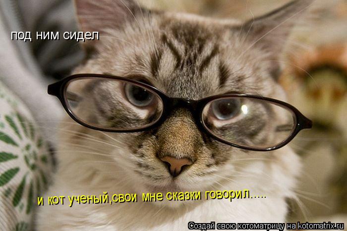 под ним сидел и кот ученый,свои мне сказки говорил........ Котоматрица: под ним сидел и кот ученый,свои мне сказки говорил.....