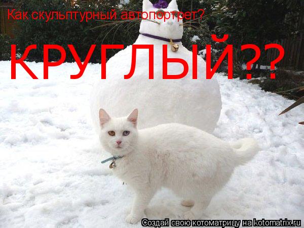 Как скульптурный автопортрет? КРУГЛЫЙ? ?... Котоматрица: Как скульптурный автопортрет? КРУГЛЫЙ? ?