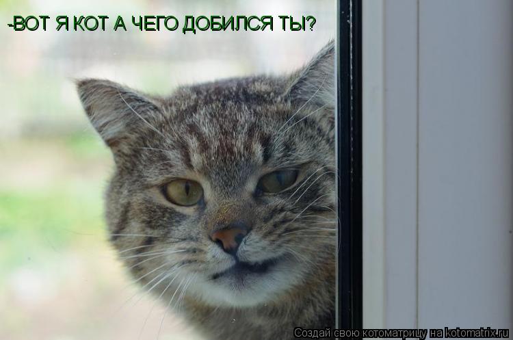 -ВОТ Я КОТ А ЧЕГО ДОБИЛСЯ ТЫ?... Котоматрица: -ВОТ Я КОТ А ЧЕГО ДОБИЛСЯ ТЫ?