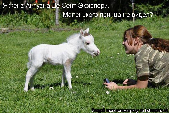 Я жена Антуана Де Сент-Экзюпери. Маленького принца не видел?... Котоматрица: Я жена Антуана Де Сент-Экзюпери. Маленького принца не видел?