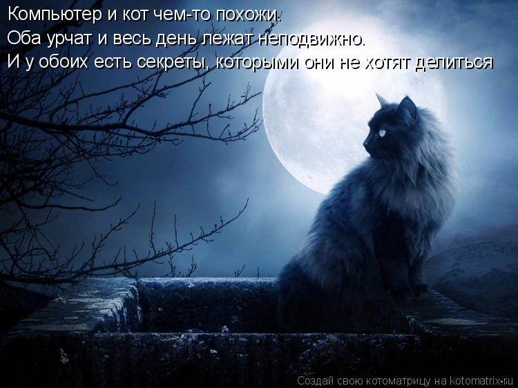Компьютер и кот чем-то похожи. Оба урчат и весь день лежат неподвижно. И у обоих есть секреты, которы... Котоматрица: Компьютер и кот чем-то похожи. Оба урчат и весь день лежат неподвижно. И у обоих есть секреты, которыми они не хотят делиться