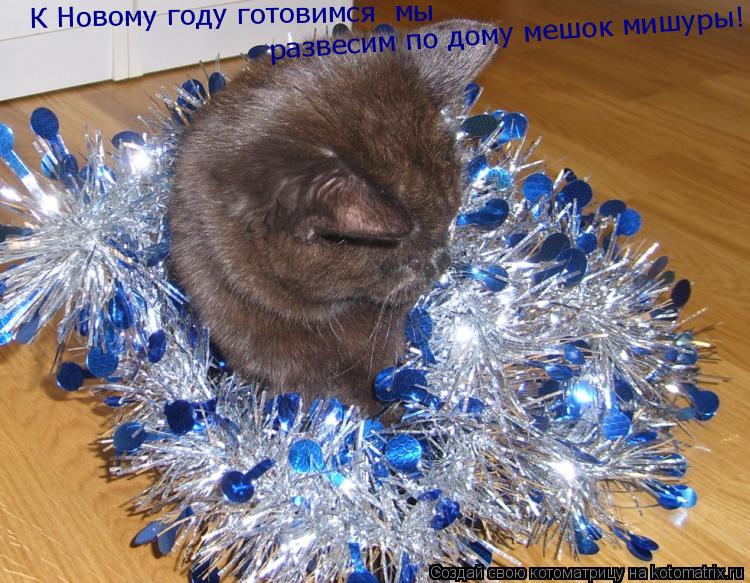 К Новому году готовимся мы развесим по дому мешок мишуры!... Котоматрица: К Новому году готовимся мы развесим по дому мешок мишуры!