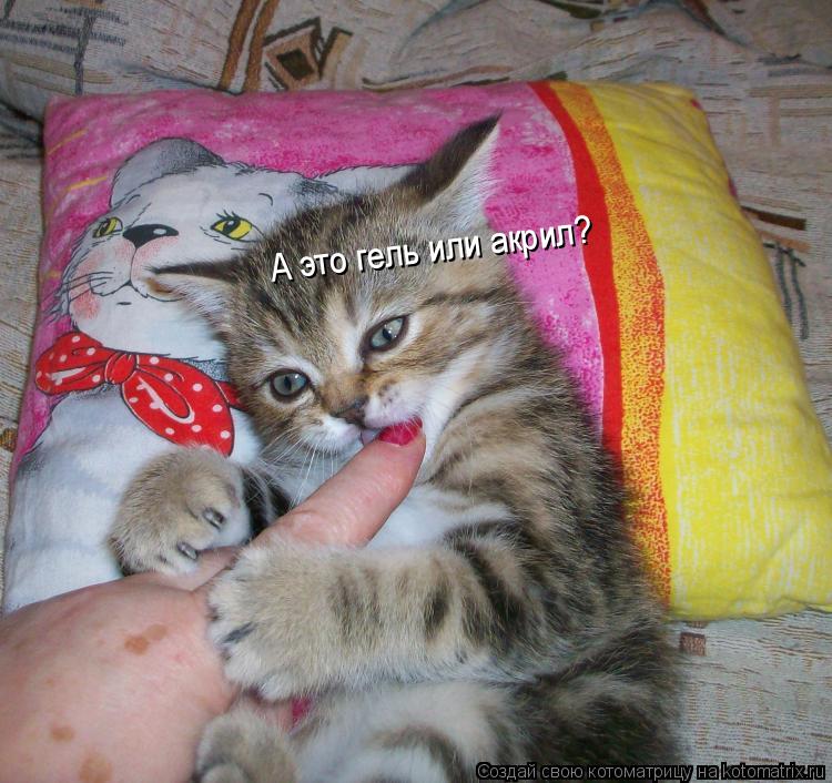 А это гель или акрил?... Котоматрица: А это гель или акрил?