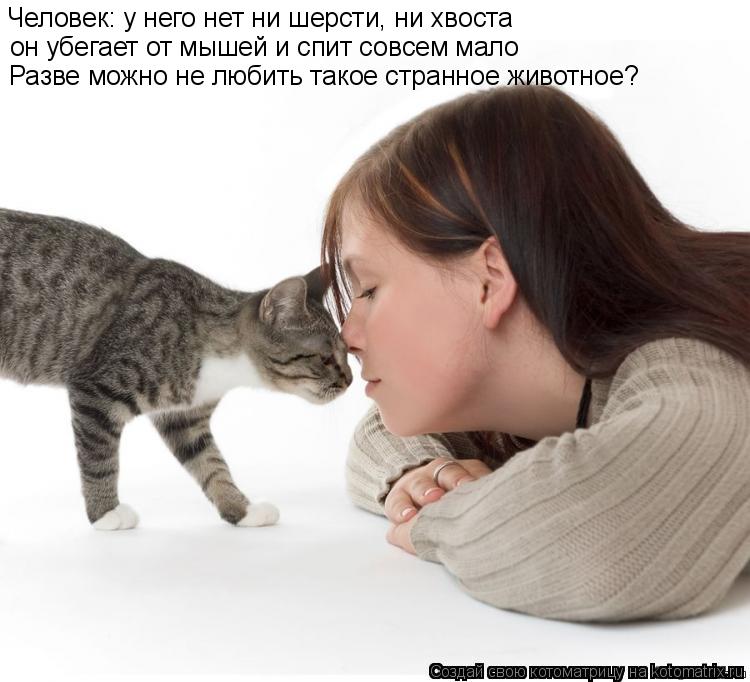 Человек: у него нет ни шерсти, ни хвоста он убегает от мышей и спит совсем мало Разве можно не любить... Котоматрица: Человек: у него нет ни шерсти, ни хвоста он убегает от мышей и спит совсем мало Разве можно не любить такое странное животное?