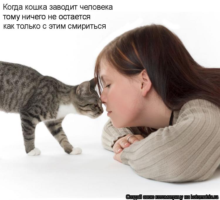 Когда кошка заводит человека тому ничего не остается тому ничего не остается как только с этим смирит... Котоматрица: Когда кошка заводит человека тому ничего не остается тому ничего не остается как только с этим смириться