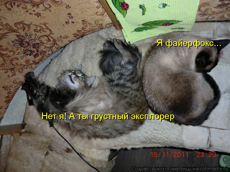 Я файерфокс... Нет я! А ты грустный эксплорер... Котоматрица: Я файерфокс... Нет я! А ты грустный эксплорер
