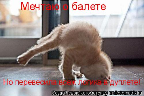 Мечтаю о балете Но перевесила всеж логика в дуплете!... Котоматрица: Мечтаю о балете Но перевесила всеж логика в дуплете!