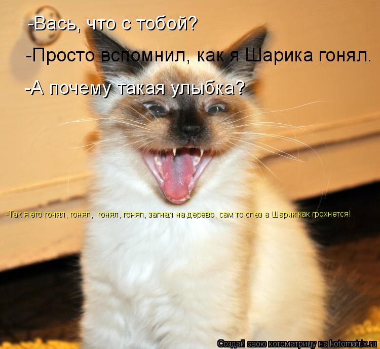 -Вась, что с тобой? -Просто вспомнил, как я Шарика гонял. -А почему такая улыбка? -Так я его гонял, г... Котоматрица: -Вась, что с тобой? -Просто вспомнил, как я Шарика гонял. -А почему такая улыбка? -Так я его гонял, гонял, гонял, гонял, загнал на дерево, сам то с