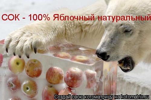 СОК - 100% Яблочный натуральный... Котоматрица: СОК - 100% Яблочный натуральный