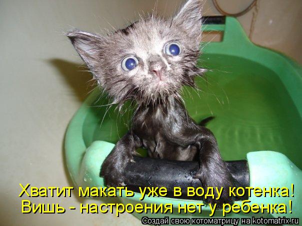 Котоматрица: Вишь - настроения нет у ребенка! Хватит макать уже в воду котенка!