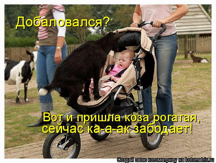 Котоматрица: Вот и пришла коза рогатая, сейчас ка-а-ак забодает! Добаловался?