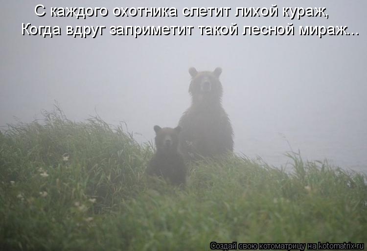 С каждого охотника слетит лихой кураж, Когда вдруг заприметит такой лесной мираж...... Котоматрица: С каждого охотника слетит лихой кураж, Когда вдруг заприметит такой лесной мираж...