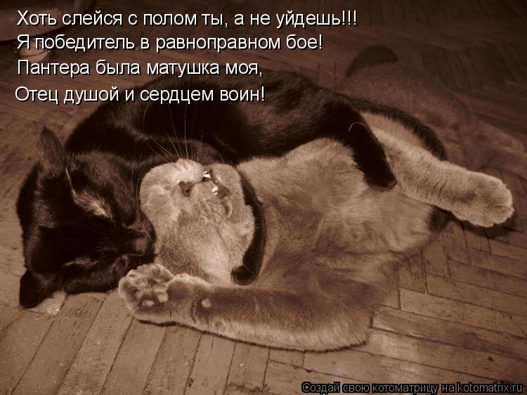 Хоть слейся с полом ты, а не уйдешь!!! Я победитель в равноправном бое! Пантера была матушка моя, Оте... Котоматрица: Хоть слейся с полом ты, а не уйдешь!!! Я победитель в равноправном бое! Пантера была матушка моя, Отец душой и сердцем воин!