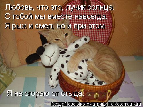 Любовь, что это, лучик солнца. С тобой мы вместе навсегда. Я рыж и смел, но и при этом Я не сгораю от... Котоматрица: Любовь, что это, лучик солнца. С тобой мы вместе навсегда. Я рыж и смел, но и при этом Я не сгораю от стыда.