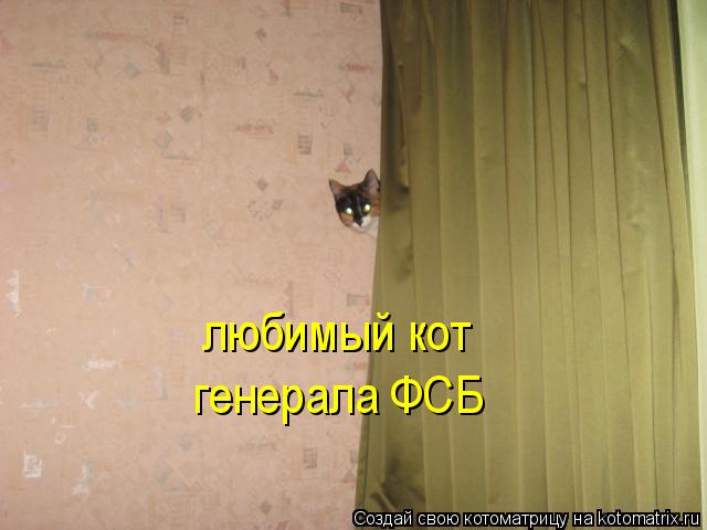 Котоматрица: любимый кот генерала ФСБ