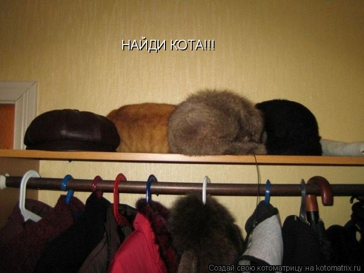 НАЙДИ КОТА!!!... Котоматрица: НАЙДИ КОТА!!!