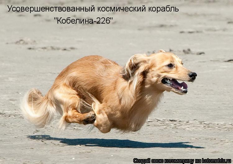 Усовершенствованный космический корабль "Кобелина-226"... Котоматрица: Усовершенствованный космический корабль "Кобелина-226"