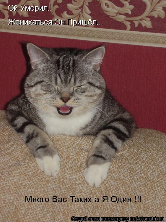 Котоматрица: Ой Уморил.. Женихаться Он Пришёл... Много Вас Таких а Я Один !!!