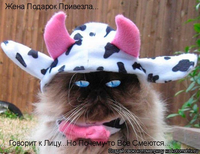 Котоматрица: Говорит к Лицу...Но Почему-то Все Смеются... Жена Подарок Привезла...