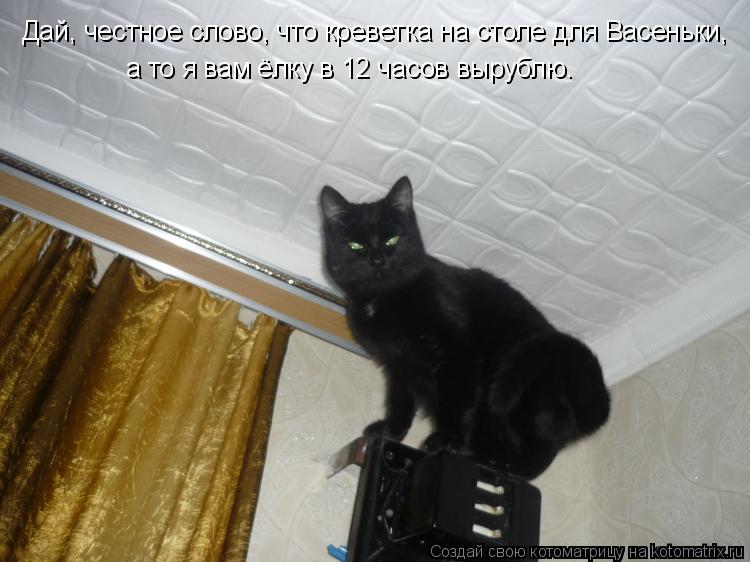 Котоматрица: Дай, честное слово, что креветка на столе для Васеньки, а то я вам ёлку в 12 часов вырублю.