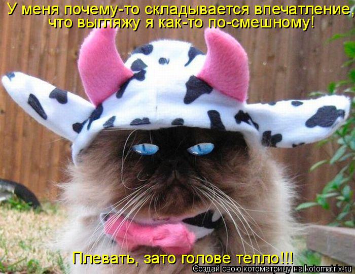 Плевать, зато голове тепло!!! У меня почему-то складывается впечатление, что выгляжу я как-то по-смеш... Котоматрица: Плевать, зато голове тепло!!! У меня почему-то складывается впечатление, что выгляжу я как-то по-смешному!