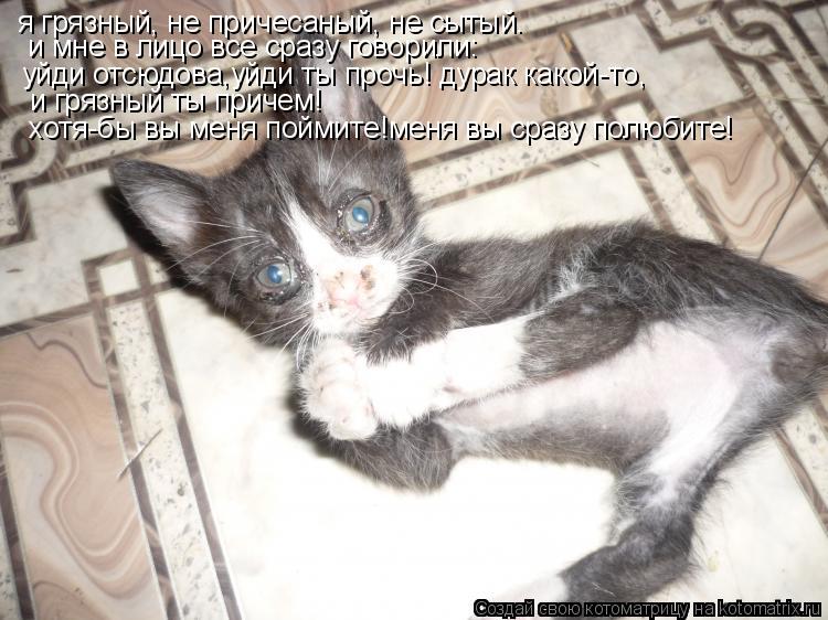 Котоматрица: я грязный, не причесаный, не сытый. и мне в лицо все сразу говорили:  уйди отсюдова,уйди ты прочь! дурак какой-то, и грязный ты причем! хотя-бы в