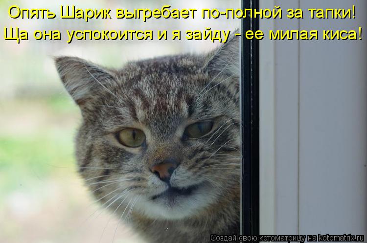 Ща она успокоится и я зайду - ее милая киса! Опять Шарик выгребает по-полной за тапки!... Котоматрица: Ща она успокоится и я зайду - ее милая киса! Опять Шарик выгребает по-полной за тапки!