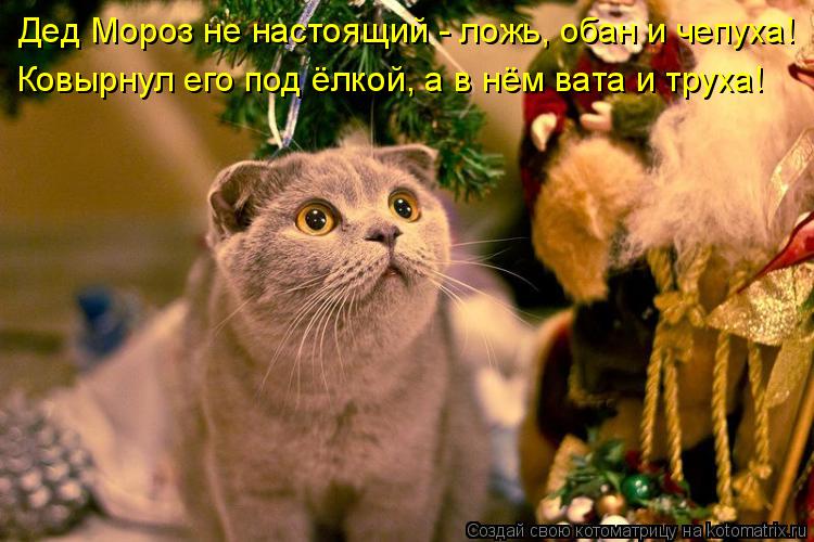 Дед Мороз не настоящий - ложь, обан и чепуха! Ковырнул его под ёлкой, а в нём вата и труха!... Котоматрица: Дед Мороз не настоящий - ложь, обан и чепуха! Ковырнул его под ёлкой, а в нём вата и труха!