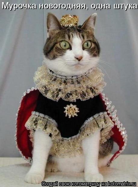 Котоматрица: Мурочка новогодняя, одна штука!