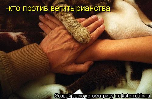 Котоматрица: -кто против вегитырианства