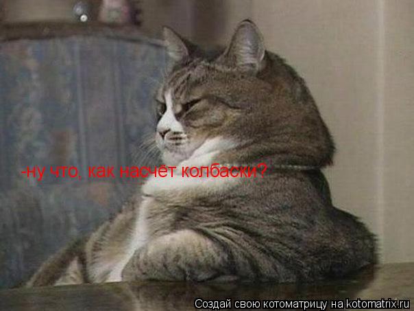 -ну что, как насчёт колбаски?... Котоматрица: -ну что, как насчёт колбаски?