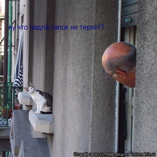 Котоматрица: ну что падла,тапок не терял!?