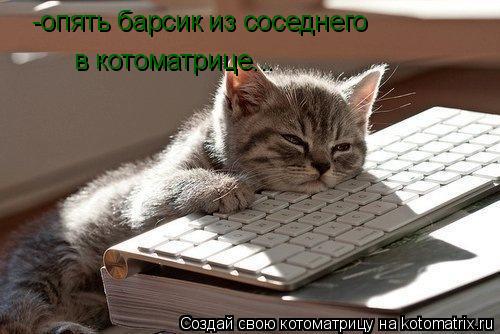Котоматрица: -опять барсик из соседнего   в котоматрице...