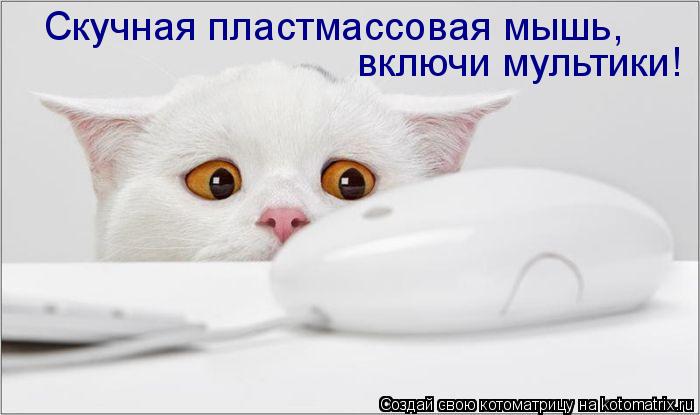 Котоматрица: Скучная пластмассовая мышь, включи мультики!