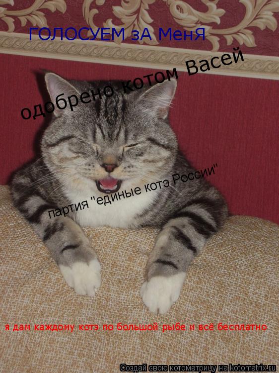 Котоматрица: ГОЛОСУЕМ зА МенЯ  я дам каждому котэ по большой рыбе и всё бесплатно  партия "единые котэ России" одобрено котом Васей