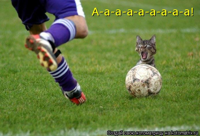 Котоматрица: А-а-а-а-а-а-а-а-а!