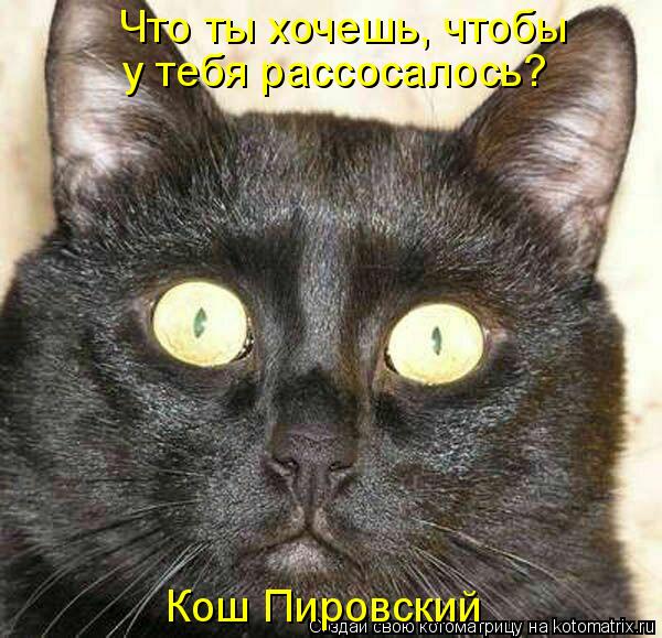 Котоматрица: Что ты хочешь, чтобы  у тебя рассосалось? Кош Пировский