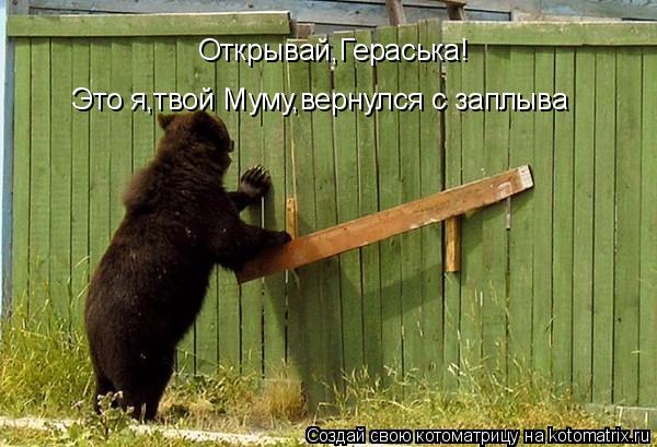 Открывай,Гераська! Это я,твой Муму,вернулся с заплыва... Котоматрица: Открывай,Гераська! Это я,твой Муму,вернулся с заплыва