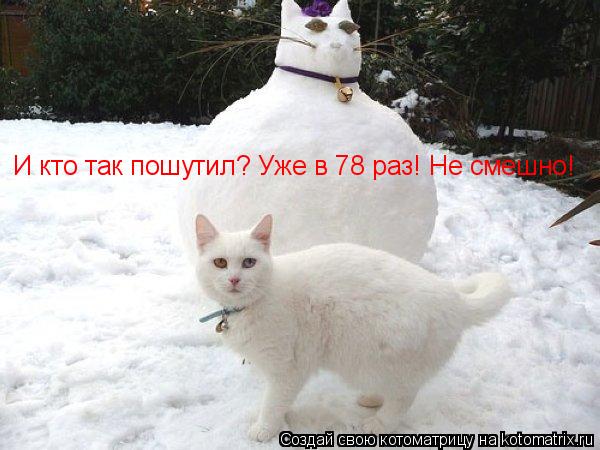 Котоматрица: И кто так пошутил? Уже в 78 раз! Не смешно!
