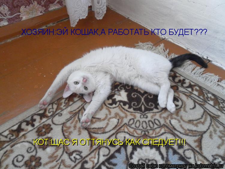 Котоматрица: ХОЗЯИН:ЭЙ КОШАК,А РАБОТАТЬ КТО БУДЕТ??? КОТ:ЩАС Я ОТТЯНУСЬ КАК СЛЕДУЕТ!!!