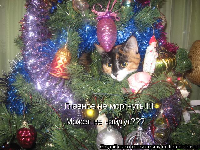 Главное не моргнуть!!!! Может не найдут???... Котоматрица: Главное не моргнуть!!!! Может не найдут???