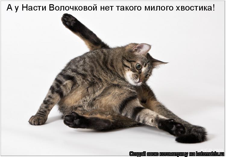 А у Насти Волочковой нет такого милого хвостика!... Котоматрица: А у Насти Волочковой нет такого милого хвостика!