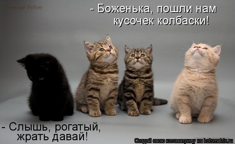 кусочек колбаски! - Боженька, пошли нам - Слышь, рогатый, жрать давай!... Котоматрица: кусочек колбаски! - Боженька, пошли нам - Слышь, рогатый, жрать давай!