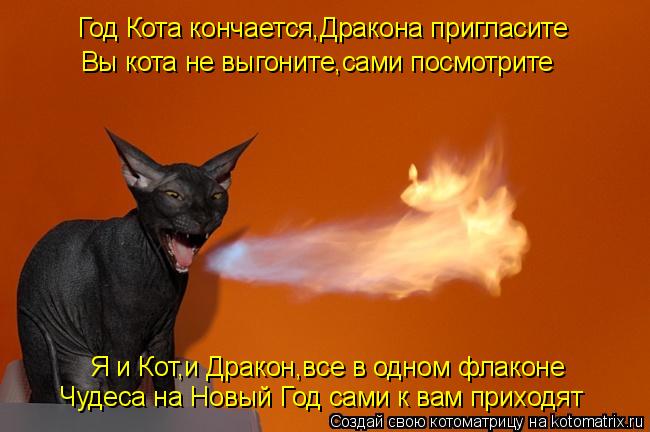 Год Кота кончается,Дракона пригласите Я и Кот,и Дракон,все в одном флаконе Чудеса на Новый Год сами к... Котоматрица: Год Кота кончается,Дракона пригласите Я и Кот,и Дракон,все в одном флаконе Чудеса на Новый Год сами к вам приходят Вы кота не выгоните,сами п