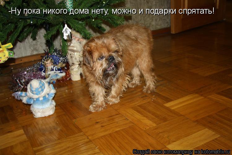 -Ну пока никого дома нету, можно и подарки спрятать!... Котоматрица: -Ну пока никого дома нету, можно и подарки спрятать!